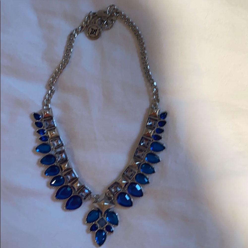 BCBG necklace